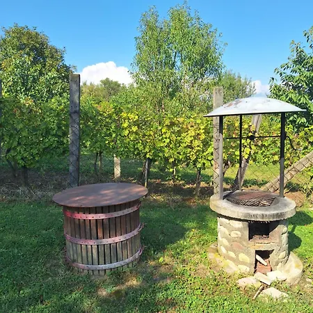 Apartment Balatonhegyvideki *